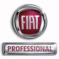 Logo Fiat Pro